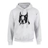 Heavy Blend™ Hooded Sweatshirt Thumbnail